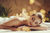  Spa Days, Breaks & Treatments Offers  